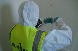 Asbestos survey in progress