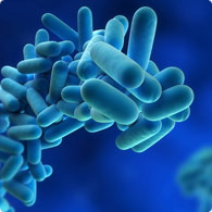 Water hygiene to prevent Legionnaires’ disease